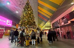 "A Natale la tua sedia sarà vuota"