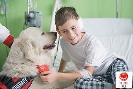 Cani in ospedale e dal dentista: cos'è la Dog Therapy e perché diventerà una tesi di laurea