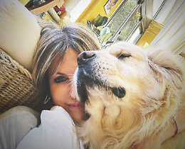 I ladri entrano nella villa e feriscono il cane a colpi di mazza