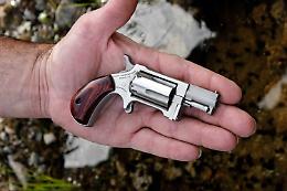 Lungo 10 centimetri, con 5 colpi e "ideale per il divertimento". Ecco cos'è il mini revolver del deputato