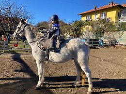 Addio Tornado, il cavallo morto a causa dei botti di Capodanno