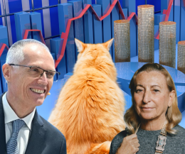 Ecco perché oggi è il giorno del Gatto Grasso