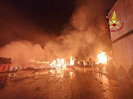 Inferno di fuoco nella fabbrica di pallet: torna l'incubo del piromane in provincia