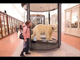 Viaggio all'interno del Museo di Scienze Naturali di Torino - IL VIDEO 