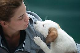 Un appello per dare un senso all'amore per gli animali: diventare volontario nell'ENPA di Torino
