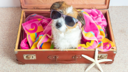 Risparmia e viaggia con stile: B&B day 2024 ti regala un weekend!