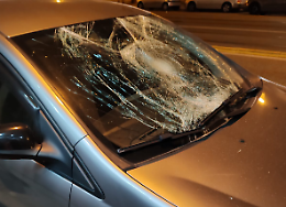 Camminano sopra le auto parcheggiate e sfondano i parabrezza