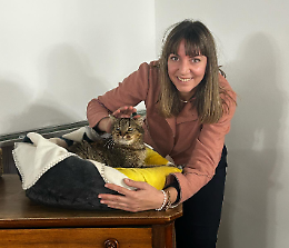 Il gatto Churchill, Gino per gli amici, "assunto" in municipio a 16 anni. «Adottate gli animali anziani come lui»