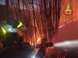 Un’estate in fiamme: già oltre 51mila interventi dei vigili del fuoco per incendi in Italia