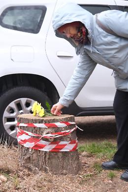 Un fiore per l'albero tagliato - TUTTE LE FOTO DELLA PROTESTA