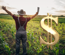 Trattori? L'agricoltura è un affare per pochi. Ecco per chi