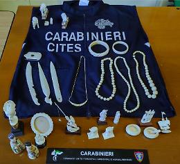 Al mercatino statue e gioielli in avorio di elefante: blitz dei carabinieri