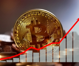 Bitcoin oltre i 50mila dollari, poi giù. Ecco cosa deve sapere un investitore