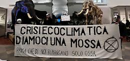 Extinction Rebellion, il blitz al Museo delle Scienze Naturali