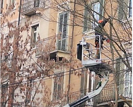 Corso Belgio, tagliati altri 9 alberi,  il comitato se la prende con la polizia 