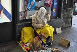 Cani per mendicare: è un racket e qui ci sono le prove. 20 denuncati