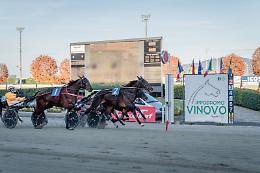 All'Ippodromo di Vinovo la prima del 2024: ecco il programma di mercoledì