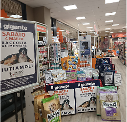 Torna la raccolta alimentare, il supermercato "Il Gigante" va in aiuto dei 4 zampe
