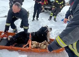 Il cane Giotto cade nel dirupo ma viene salvato dai pompieri - TUTTE LE FOTO DEL SALVATAGGIO