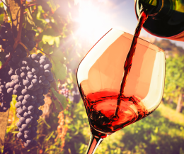 Vino, una guerra da 4 miliardi sul Barolo. Ecco perché 