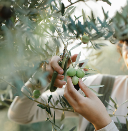 200mila donne scelgono l'agricoltura 