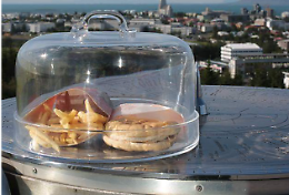 L'hamburger che si rifiuta di invecchiare: cosa ci insegna l'esperimento islandese sulla nutrizione