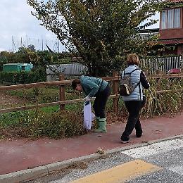 A Rosta riprendono le giornate di pulizia dell'ambiente