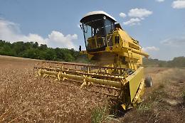 Crisi e cambiamento climatico, agricoltura "sotto scacco". E il Piemonte perde 3mila aziende