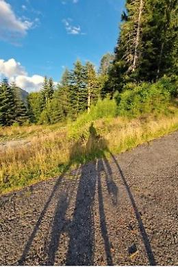 E se andassimo 
in bicicletta? 