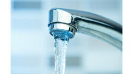 Ameba mangia-cervello: il pericolo nascosto nell’acqua del rubinetto