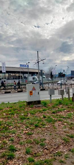 Tra fango e radici: il percorso a ostacoli per raggiungere la fermata del tram