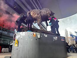 Le femministe imbrattano con la vernice rosa il toro del Campus Einaudi