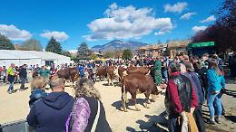 La Fiera di Sant'Isidoro: un viaggio tra tradizione e sapori a Favria