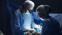 Il primo trapianto di rene da maiale a uomo: un nuovo capitolo per la medicina