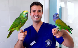 Addio a Marco Petrini: il veterinario famosissimo sui social aveva solo 37 anni