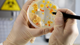 La sindrome da Streptococco: allerta per la "malattia carnivora"
