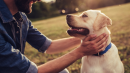 Animali riconosciuti come membri di famiglia: no alle catene e sì alla sepoltura con i padroni