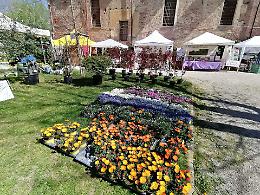  Carmagnola si tinge di verde: Ortoflora & Natura, un fine settimana all'insegna della natura e della tradizione