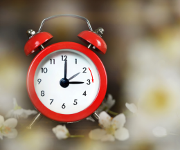 Attenzione! Stanotte scatta il cambio dell'ora. Avanti o indietro? E' vero che si risparmia?