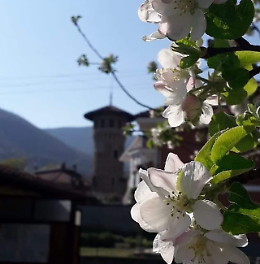 A Val della Torre torna la Sagra del Salame di Cinghiale