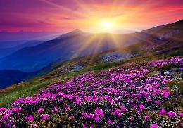 Aprile è il più crudele dei mesi