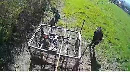“Guerra” tra animaliste e contadini: «Segnale di forte disinformazione»