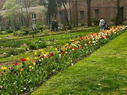 Ecco il giardino di Torino dove è  obbligatorio "calpestare il prato"