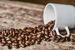 World Coffee Championships: due italiani in gara per il titolo