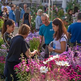 Florì: Moncalieri nel weekend si veste di verde