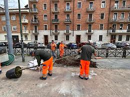 Ecco 57 nuovi alberi per riqualificare le aree mercatali