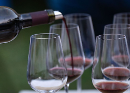 Vino e cultura si fondono nelle strade di Pinerolo: un viaggio tra calici e storia