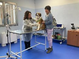 Orgoglio piemontese: inaugurato il primo Ambulatorio Sociale Veterinario gratuito di Torino