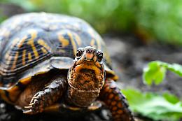 Un gesto d'amore per la natura: l'operazione di pulizia del Laghetto di Asti