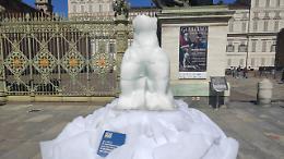 L'orso polare di ghiaccio a Torino: "Il pianeta si scioglie davanti ai nostri occhi"